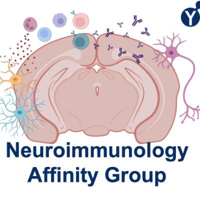 British Society for Immunology Neuroimmunology Affinity Group
Connecting clinicians & scientists through #neuroimmunology #immunology |
@britsocimm