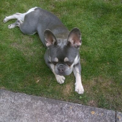 kenhoare's profile picture. I am a fun loving person who has a great family and love the place where i live.