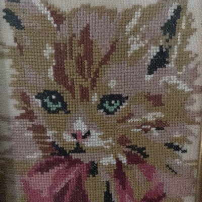 PolitelyWry's profile picture. Here to laugh at all the fighting