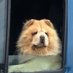 RT Puppy (@subby_rtpup) Twitter profile photo RT Puppy (@subby_rtpup) Twitter profile photo