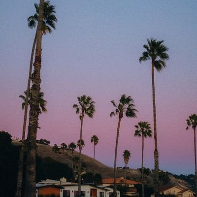 jccyw's profile picture. 