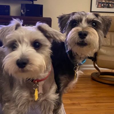 MiloNMax21's profile picture. 