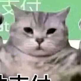 blln104105's profile picture. 没事我就吃溜溜梅，你别管我了