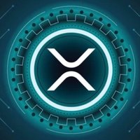Carpathia Investments (@xrpinsight) 's Twitter Profile
