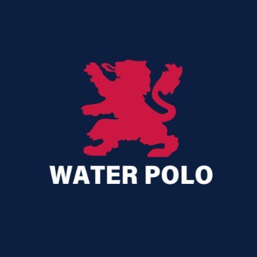 ViatorPolo Profile Picture