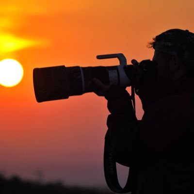 César Gil | Wildlife Photography Profile