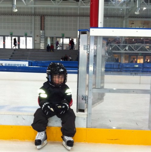 palgul's profile picture. St.Svithun VGS Idrett, Sportslig leder Stavanger Hockey, Head Coach Norge U16