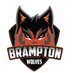 Brampton Wolves (@BWolvesGT20) Twitter profile photo