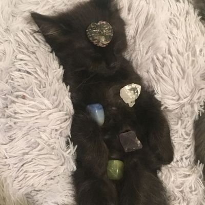 fiagmnz Profile Picture