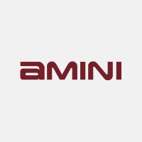 Amini(@AminiTech) 's Twitter Profile Photo