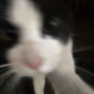 mah_lluiza's profile picture. ✩ ♬ ₊.🎧⋆☾⋆⁺₊✧