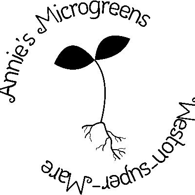 Producing quality microgreens in Weston-super-Mare.