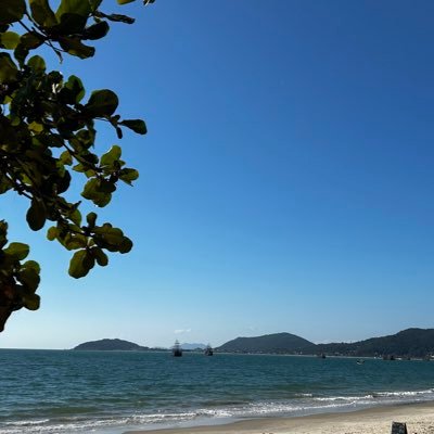 XTRamosSocial's profile picture. 