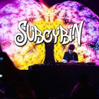 🍄Subcybin🍄 (@subcybin) 's Twitter Profile