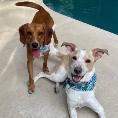 ceili529's profile picture. 