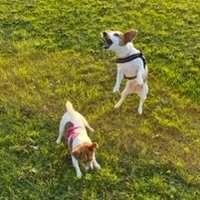 Ulla McCarthy (@mccarthyulla) 's Twitter Profile Photo Ulla McCarthy (@mccarthyulla) 's Twitter Profile Photo