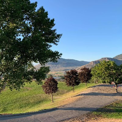 Carol0737's profile picture. Opinions are my own.