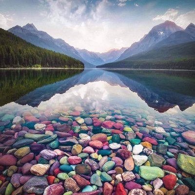 hll_zch's profile picture. 