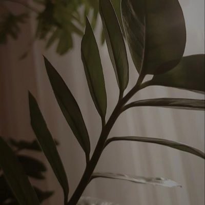 su_wafaali's profile picture. 