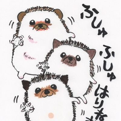 🦔飼いの女子大学生
ちぃ🌈、ちょこ🌈、ちろる

アイコン、ヘッダー：といちぃさん

ハンドメイド作品販売店【Hedgehog】

https://t.co/MTiSIR19ZE

https://t.co/0zramSQRHB