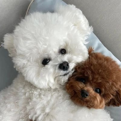 yrrxt_'s profile picture. Thinking out loud🥀