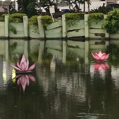 Eliseotmpmuh's profile picture. GH4TP2BV