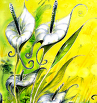 kolklim's profile picture. Сотвори себе мир и живи в нем как волшебник.