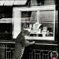 ھ (@aitch_8) Twitter profile photo