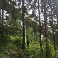 Bohumil Doboš (@bohumildobos) 's Twitter Profile