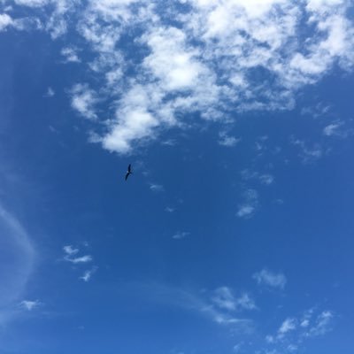 yanbeauo's profile picture. 