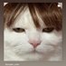 kucingpandai (@Oooyen95) Twitter profile photo