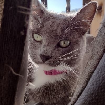 AOx1919's profile picture. why are you reading this...  ¯\_(ツ)_/¯