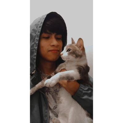 Angnn33's profile picture. At least I'm trying // TNx4💚💛💜❤️🩵🖤🩷🩶🤎💙🤍