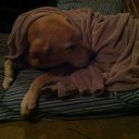 Joe Maple - @jbmapleII - Twitter