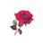 murderowner's profile image