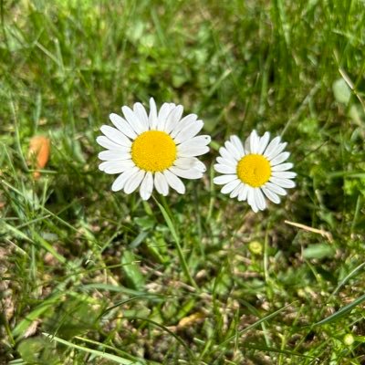 RayZhan46183447's profile picture. 