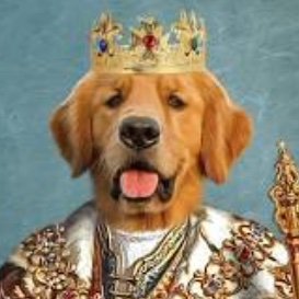 Learn agile from a good dog • Project management • Software tips • Bonus dog pictures