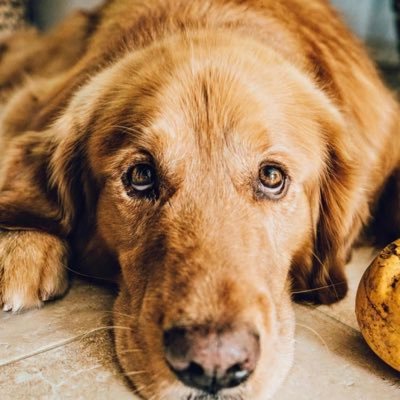 taylorkelly001's profile picture. I love y’all