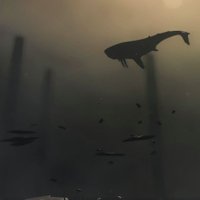 Riftweave (@_riftweave_) 's Twitter Profile Photo