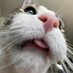 Masterplan (@sourboigames) Twitter profile photo Masterplan (@sourboigames) Twitter profile photo