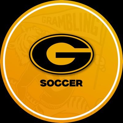 gsutigers_wsoc Profile Picture