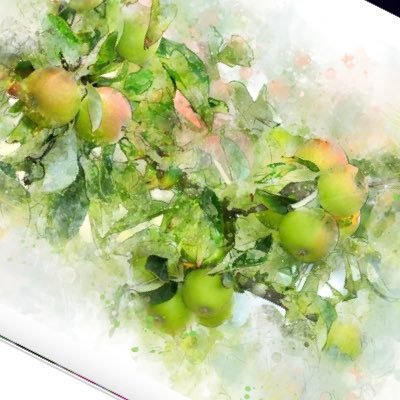 shiba_ba_ringo's profile picture. JAM'S親世代 /BELIEVER. /VAWS/全国足跡残し中🐾犬と猫と空と山♡/いい歳だけどLIVEはやめられない/あれこれいろいろ