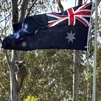 mannix_terry's profile picture. 