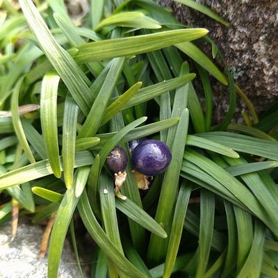 ピグライフ♥️PC版復活熱望❗
陳情令→原作→アニメ魔道祖師。江澄💜(江晩吟)推しで曦澄限定腐人で読み専50⬆浅く広く好きなもの⛸️😻🐦️🌼🚅が有り軽率にいいねするのでいいね返し不要(^_^)b ⚠️Follows from accounts without posts will be blocked.