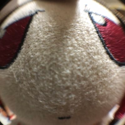 fumo_JP Profile Picture