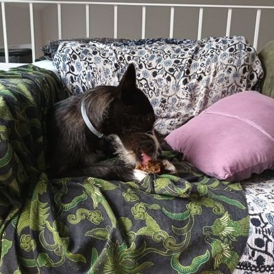 MiguelG842676's profile picture. 