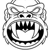 realvaluealpha's profile picture. alt-coin maximalist $EWT $MYTH