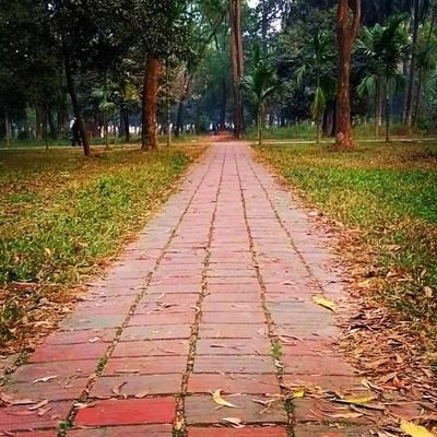 SafatTasin7597's profile picture. 