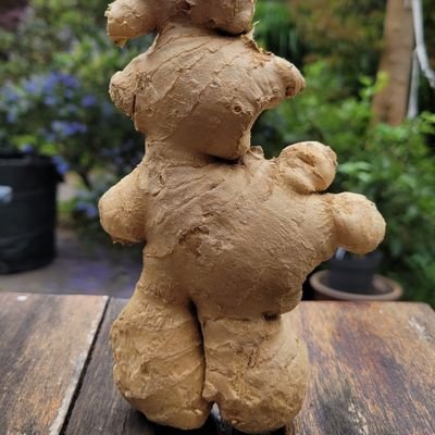 Docent biologie, onderwijs, vogels, bloemen, fotografie (ig: e.v.rhijn), autisme, 🌻, https://t.co/cRwvHU1lcc als @riverwork zij/haar