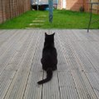 Sarah A (@chicken_1983) 's Twitter Profile